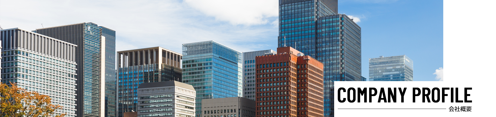 コラムメイン画像